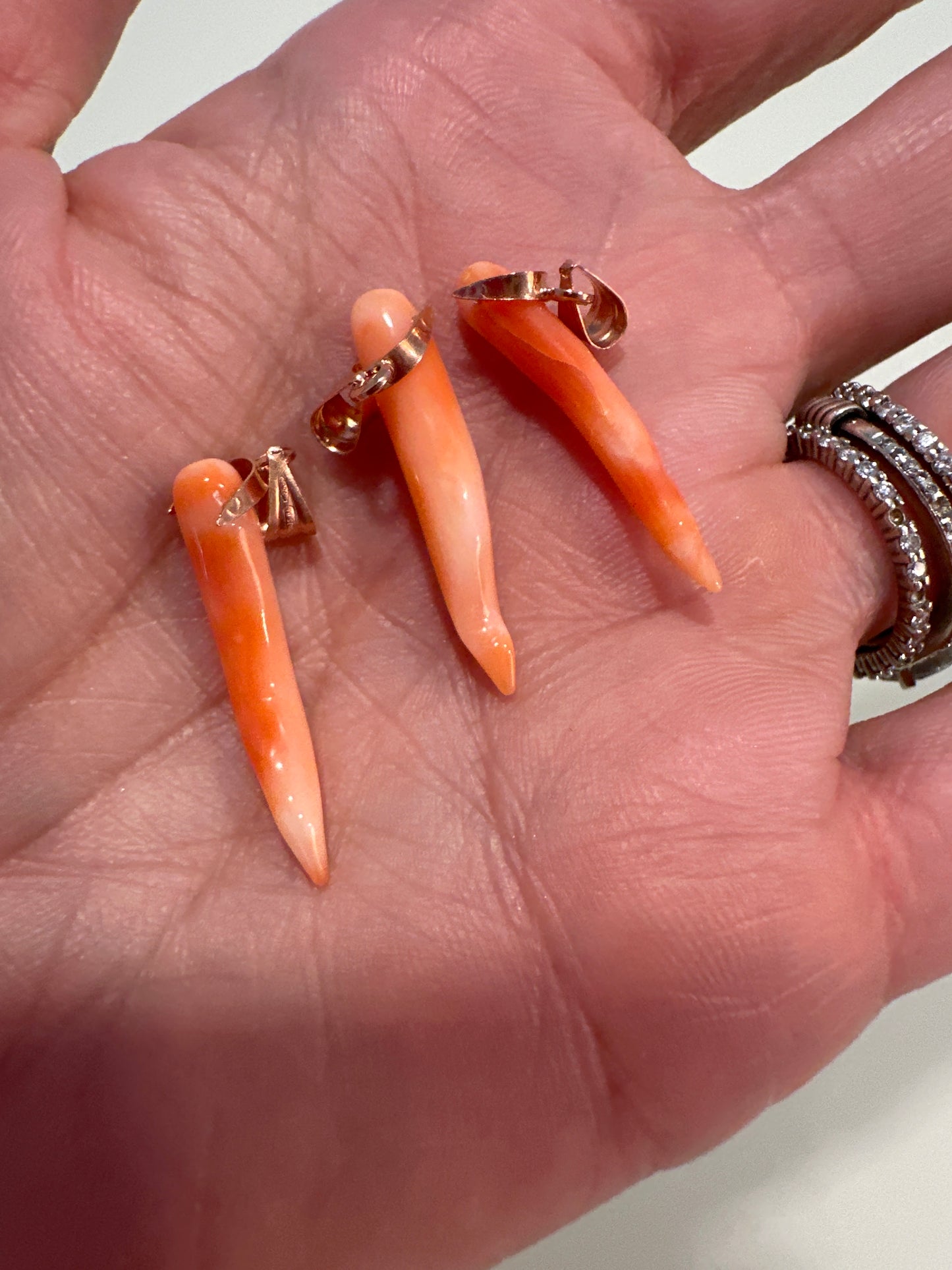 Mediterranean Coral Horn-Theia's Collection