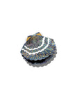 Hand-painted Seashell Claw Hair Clip