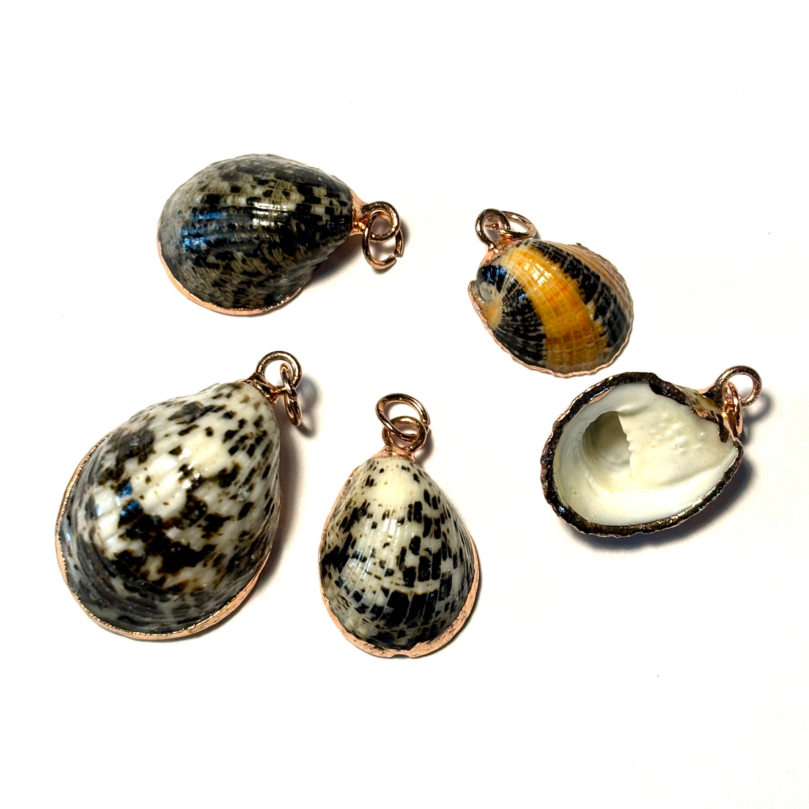 Limpet Shell Pendant