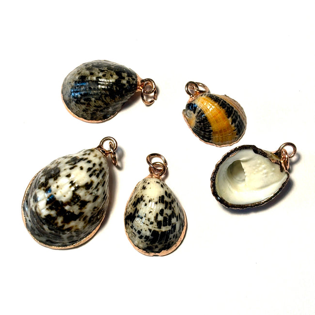 Limpet Shell Pendant