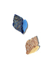 Hand-painted Tulip Conch Shell Claw Hair Clip