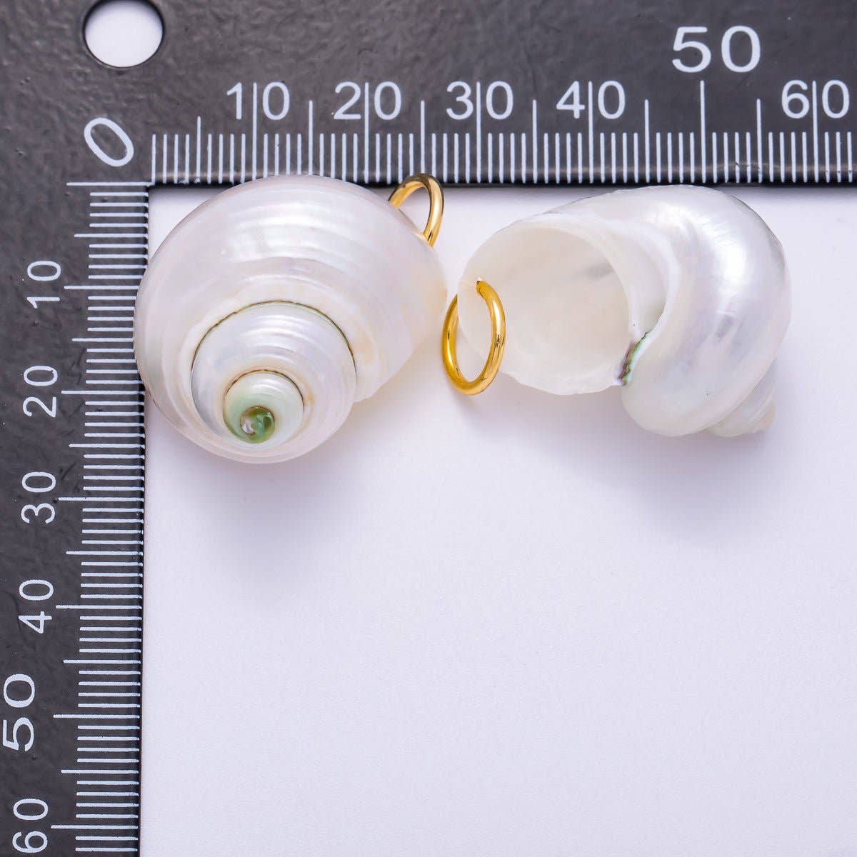 18K Gold Filled Freshwater Pearl Conch Sea Shell Charm