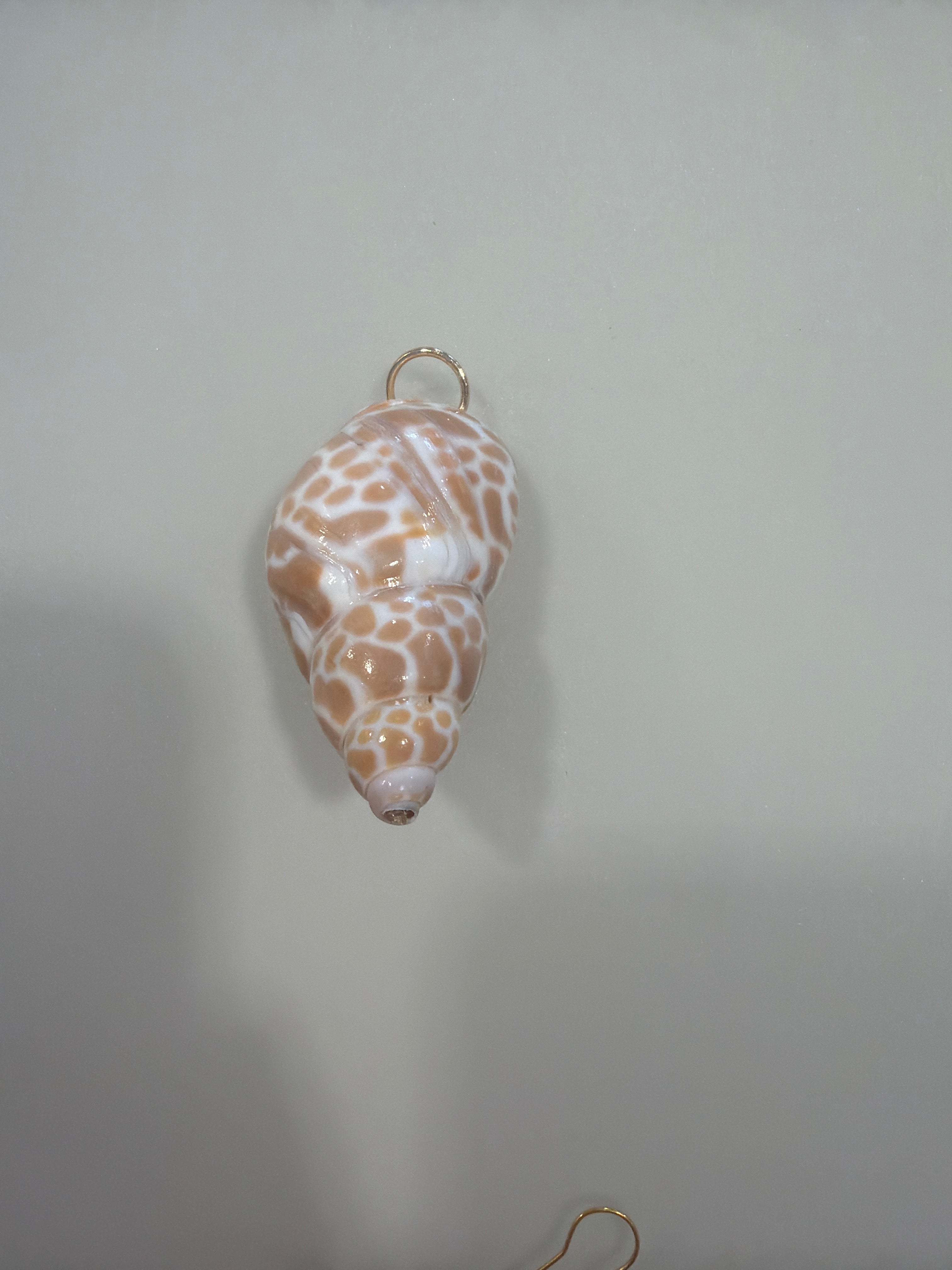 Natural Brown Spotted Conch Shell charm