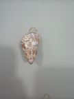 Natural Brown Spotted Conch Shell charm