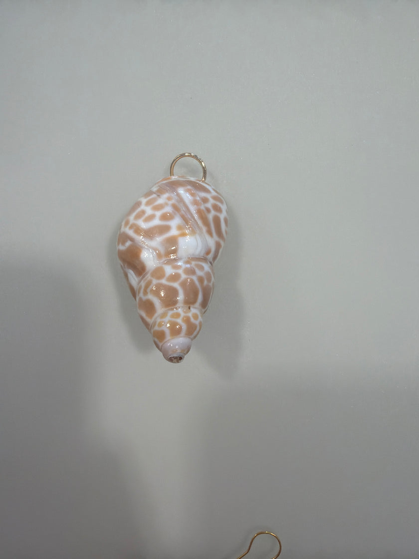 Natural Brown Spotted Conch Shell charm