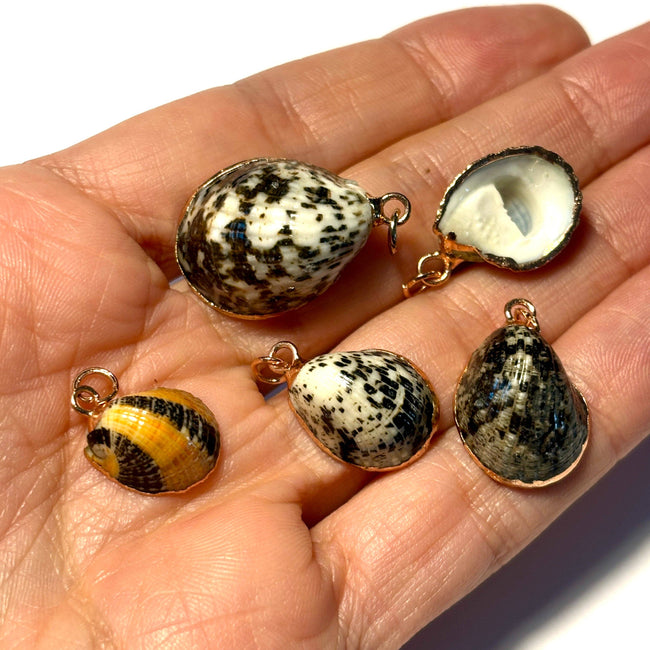 Limpet Shell Pendant