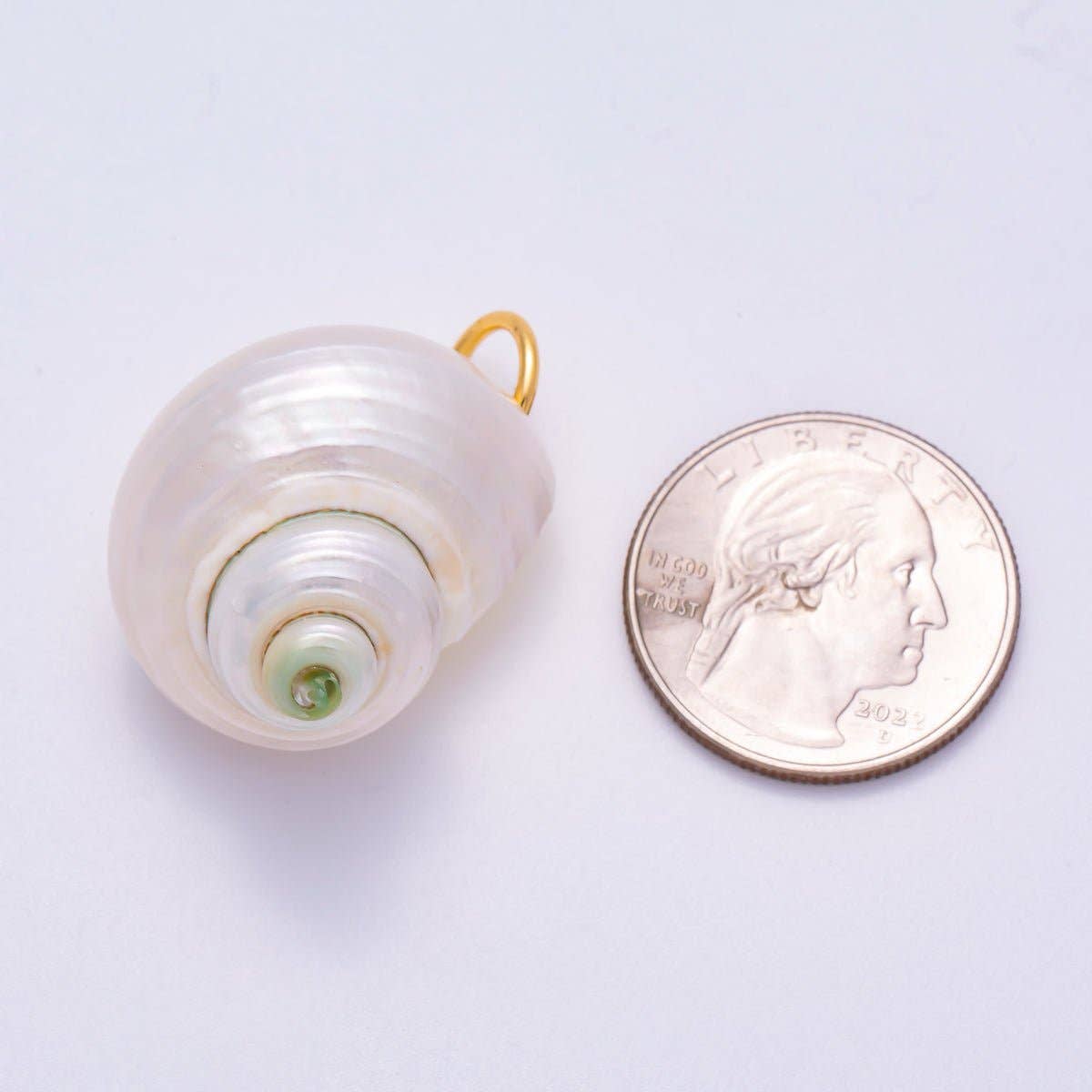 18K Gold Filled Freshwater Pearl Conch Sea Shell Charm