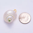 18K Gold Filled Freshwater Pearl Conch Sea Shell Charm