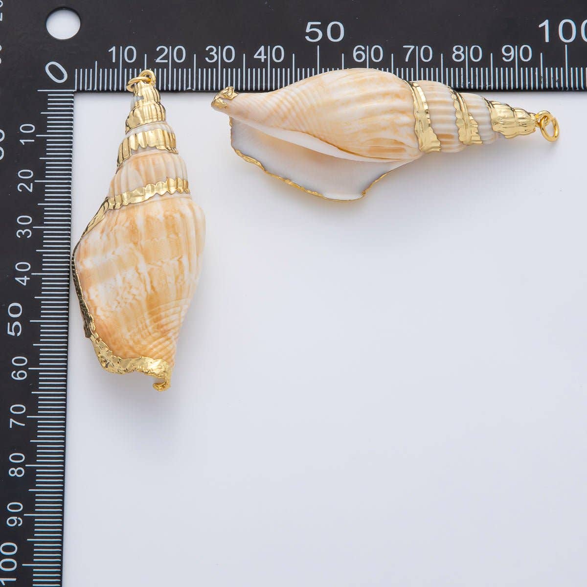 67mm Shell Pearl Sea Conch Shell Charm