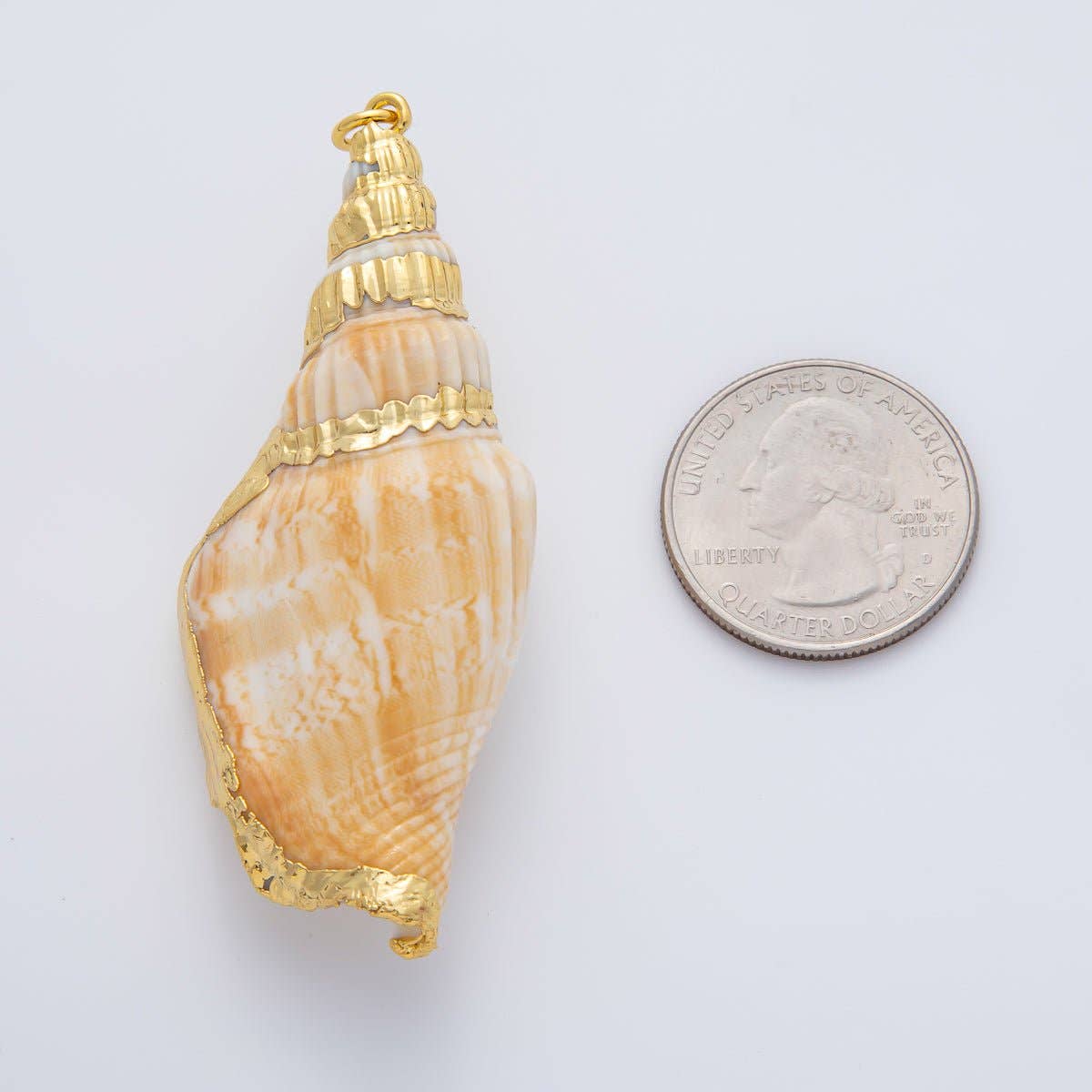 67mm Shell Pearl Sea Conch Shell Charm