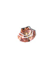 Hand-painted Seashell Claw Hair Clip